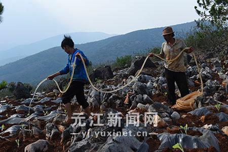 元江县洼垤乡人口_元江洼垤图片