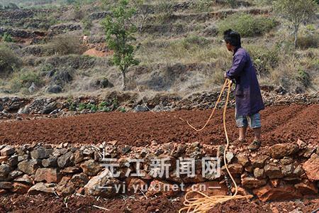 元江县洼垤乡人口_元江洼垤图片