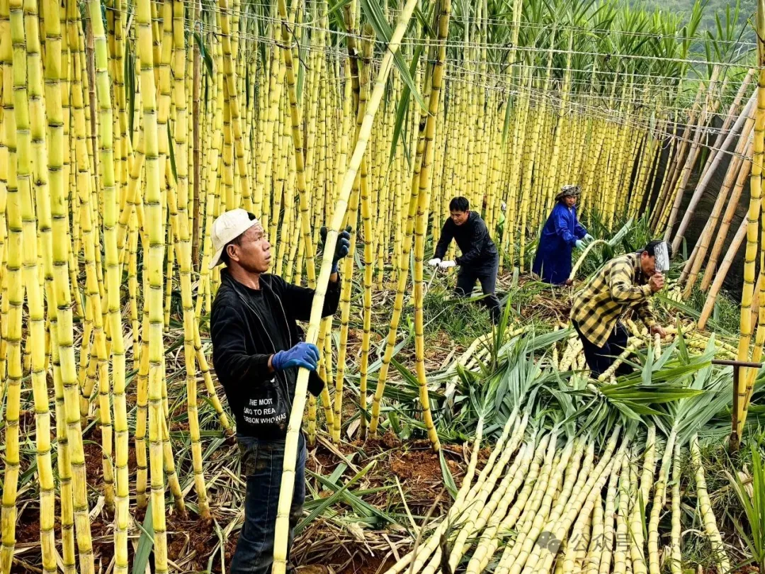 640 (1).jpg 640 (1).jpg