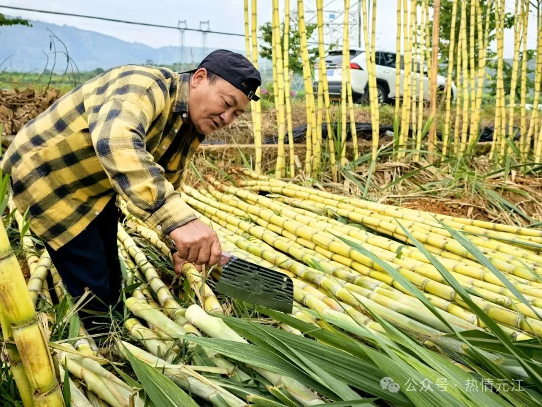 640 (2).jpg 640 (2).jpg