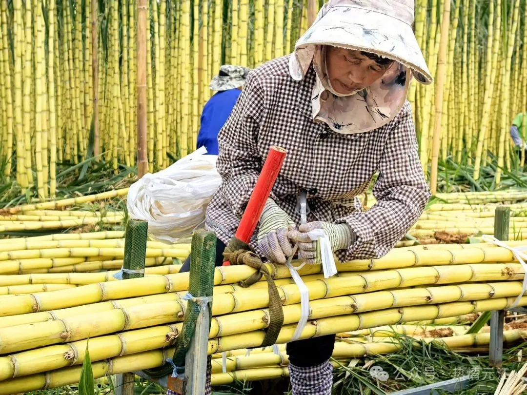 640 (3).jpg 640 (3).jpg