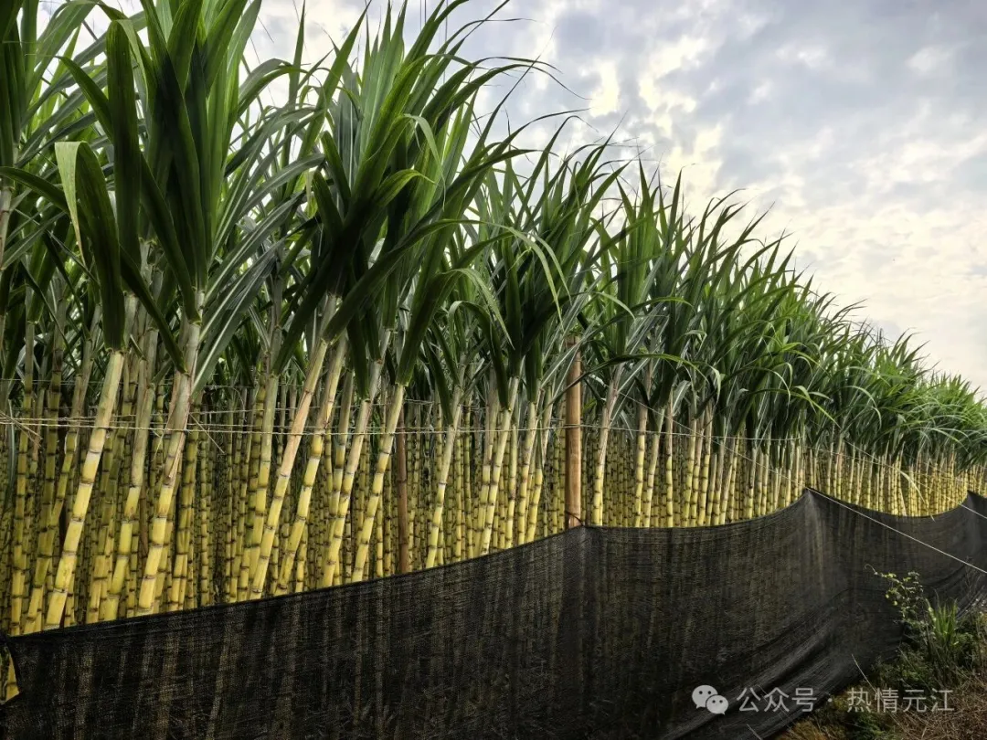 640 (5).jpg 640 (5).jpg