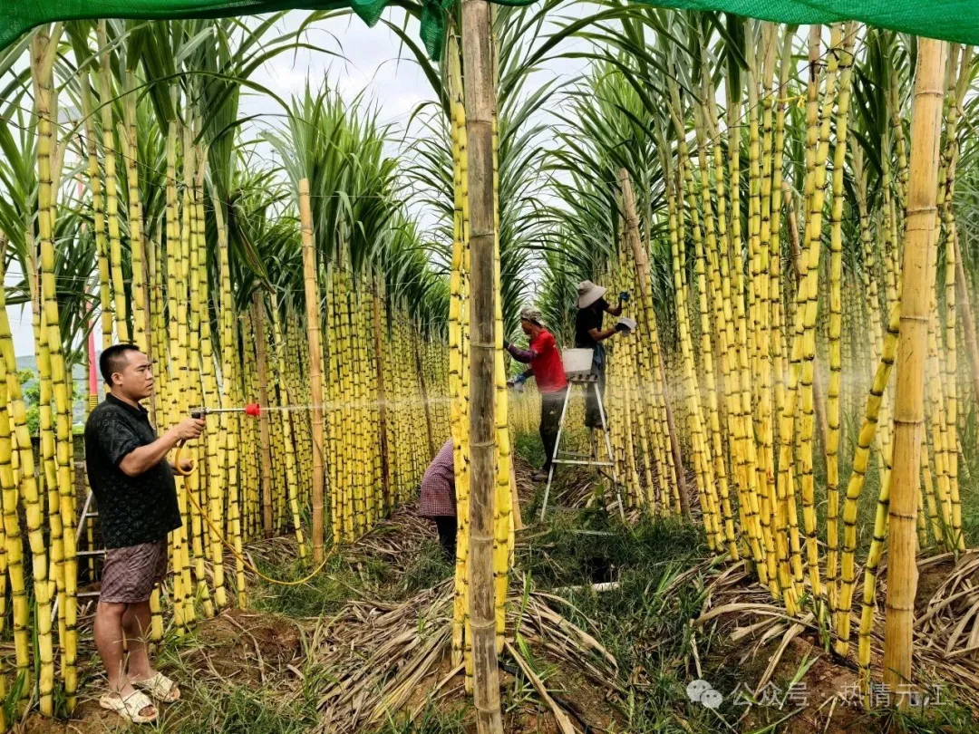 640 (6).jpg 640 (6).jpg