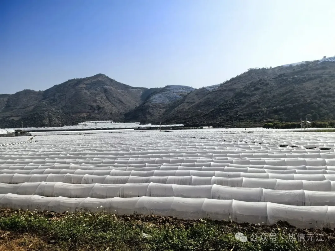 640 (7).jpg 640 (7).jpg