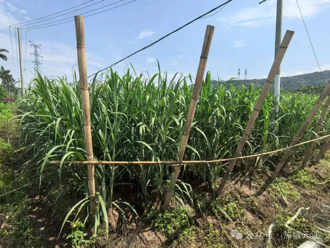 640 (8).jpg 640 (8).jpg