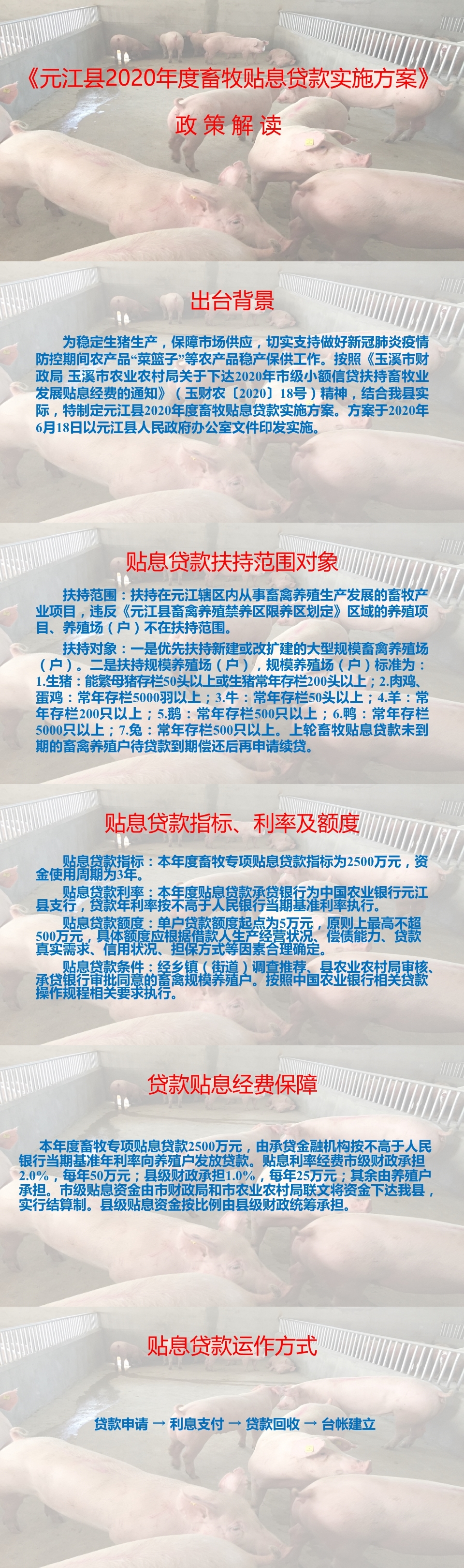 《元江县2020年度畜牧贴息贷款实施方案》政策解读_38863.jpg