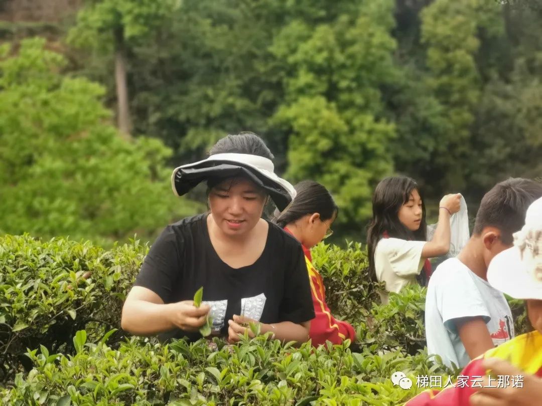 棋牌游戏官方网站- 哈希游戏试玩平台畅享娱乐2026南京留学机构口碑榜单学子认可靠谱机构推荐