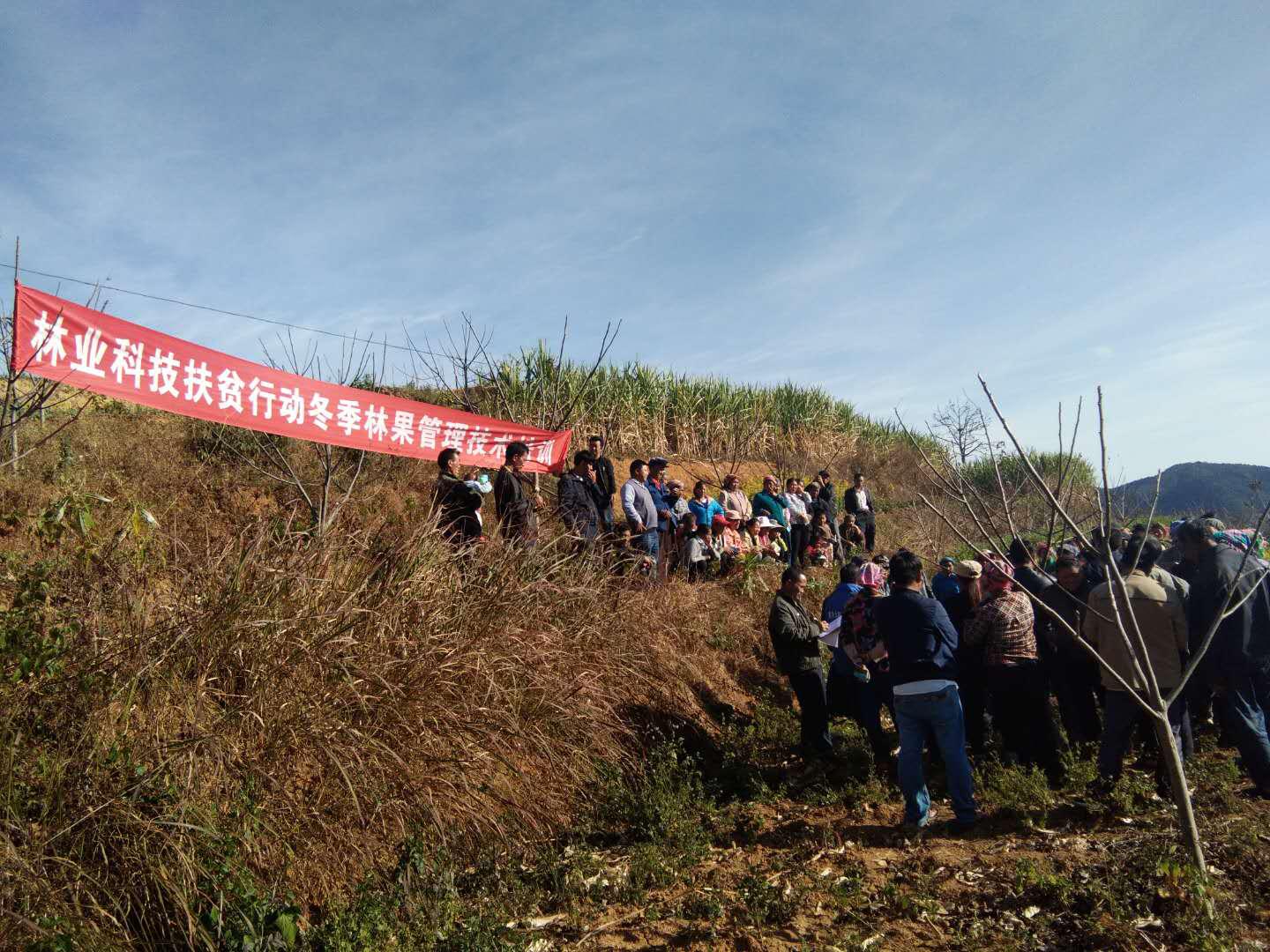 图片1.jpg 图片1.jpg