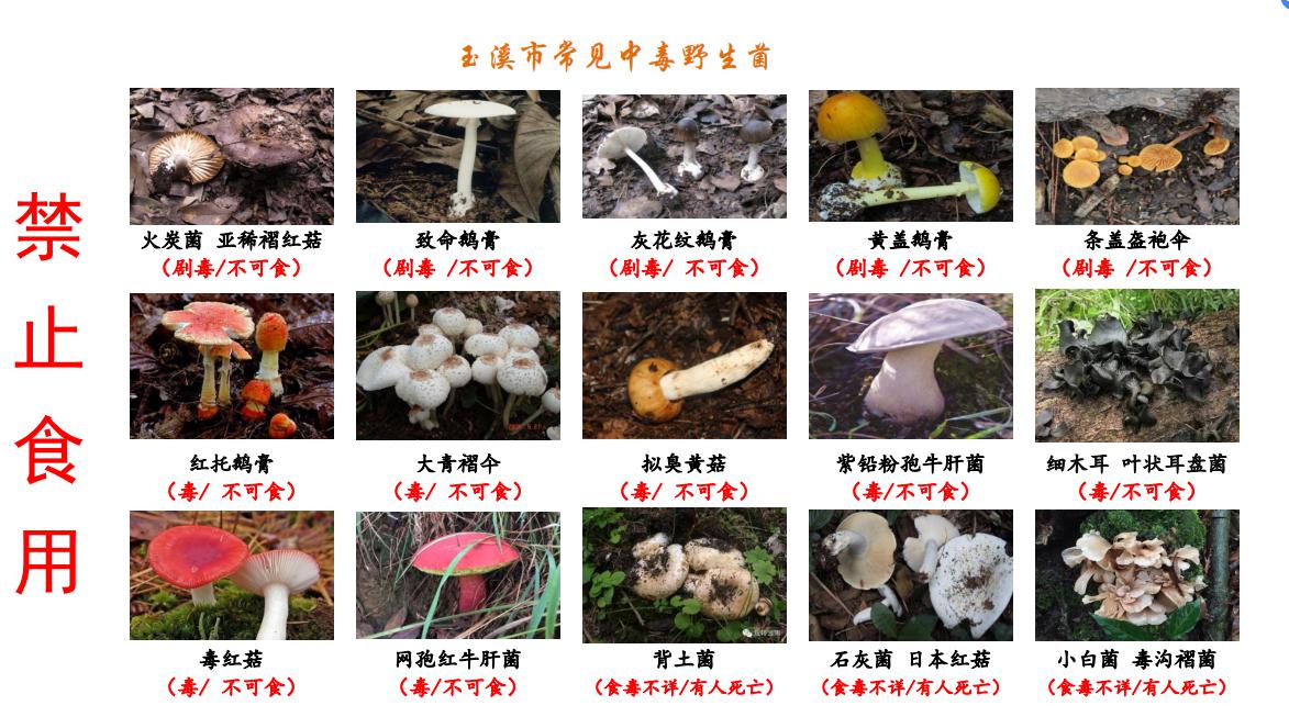图片2常见中毒.jpg