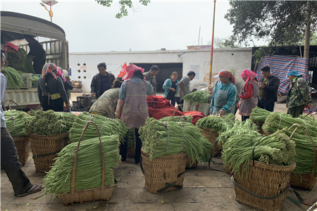 微信图片_20190426100951_副本.jpg 微信图片_20190426100951_副本.jpg