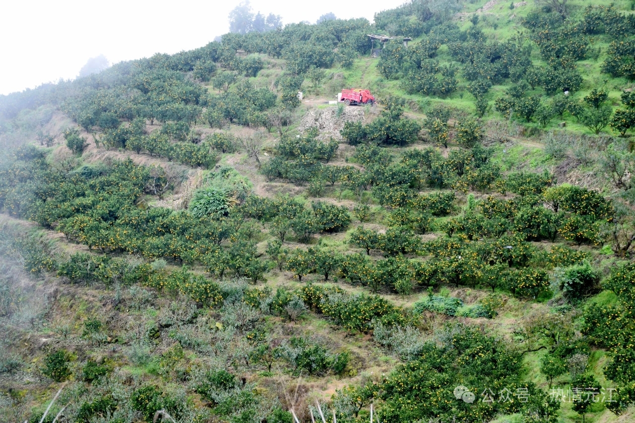 c4377e55382153e0eff1c311e0f4407.jpg c4377e55382153e0eff1c311e0f4407.jpg