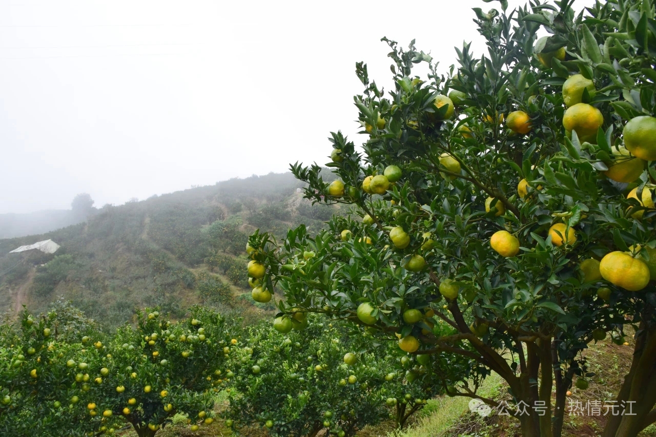 5bf7f0f6be53a41d4503c4841260ec9.jpg 5bf7f0f6be53a41d4503c4841260ec9.jpg