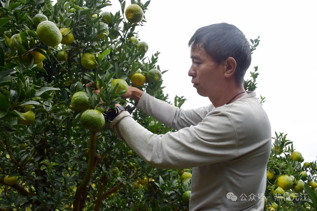 6ec6b0a38c47664c4ac21fd0addd204.jpg 6ec6b0a38c47664c4ac21fd0addd204.jpg