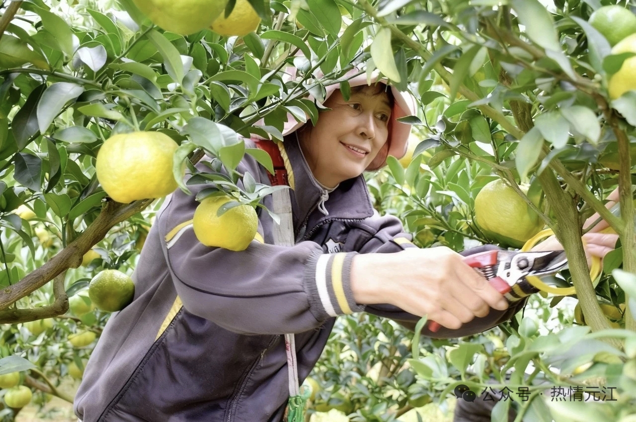 fb867212084fa28381e9dfc685c873c.jpg fb867212084fa28381e9dfc685c873c.jpg