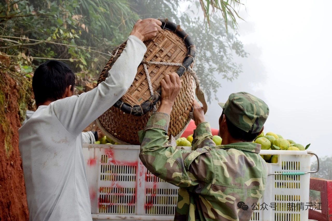 425eca3f1725f6022a25d56d13cd99e.jpg 425eca3f1725f6022a25d56d13cd99e.jpg