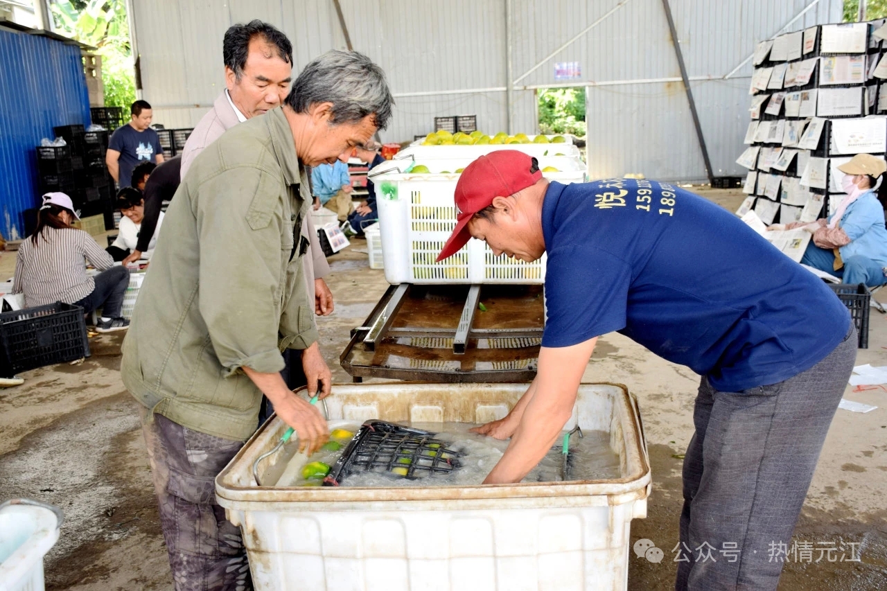 23f05fdf97f88fdab22f745b75fa895.jpg 23f05fdf97f88fdab22f745b75fa895.jpg