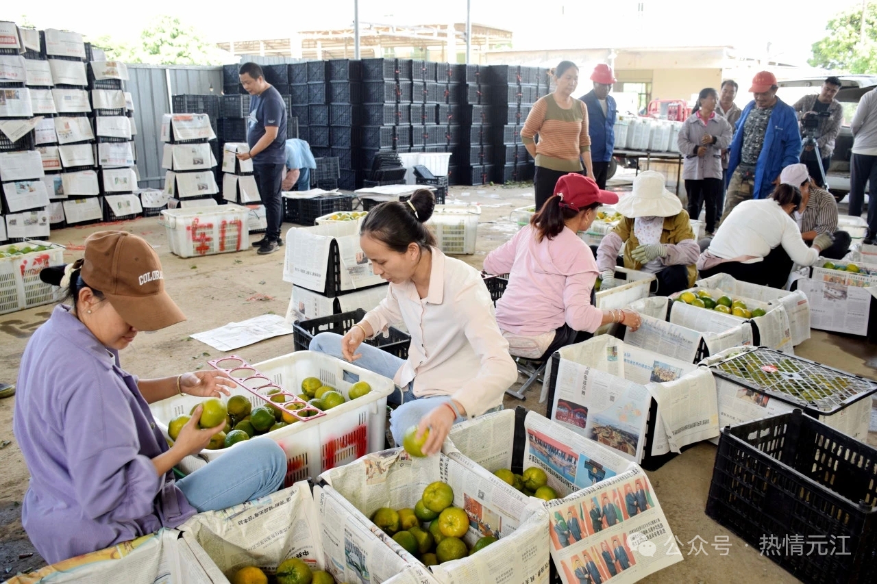 0d08bf99b132e797305882ced8978f4.jpg 0d08bf99b132e797305882ced8978f4.jpg