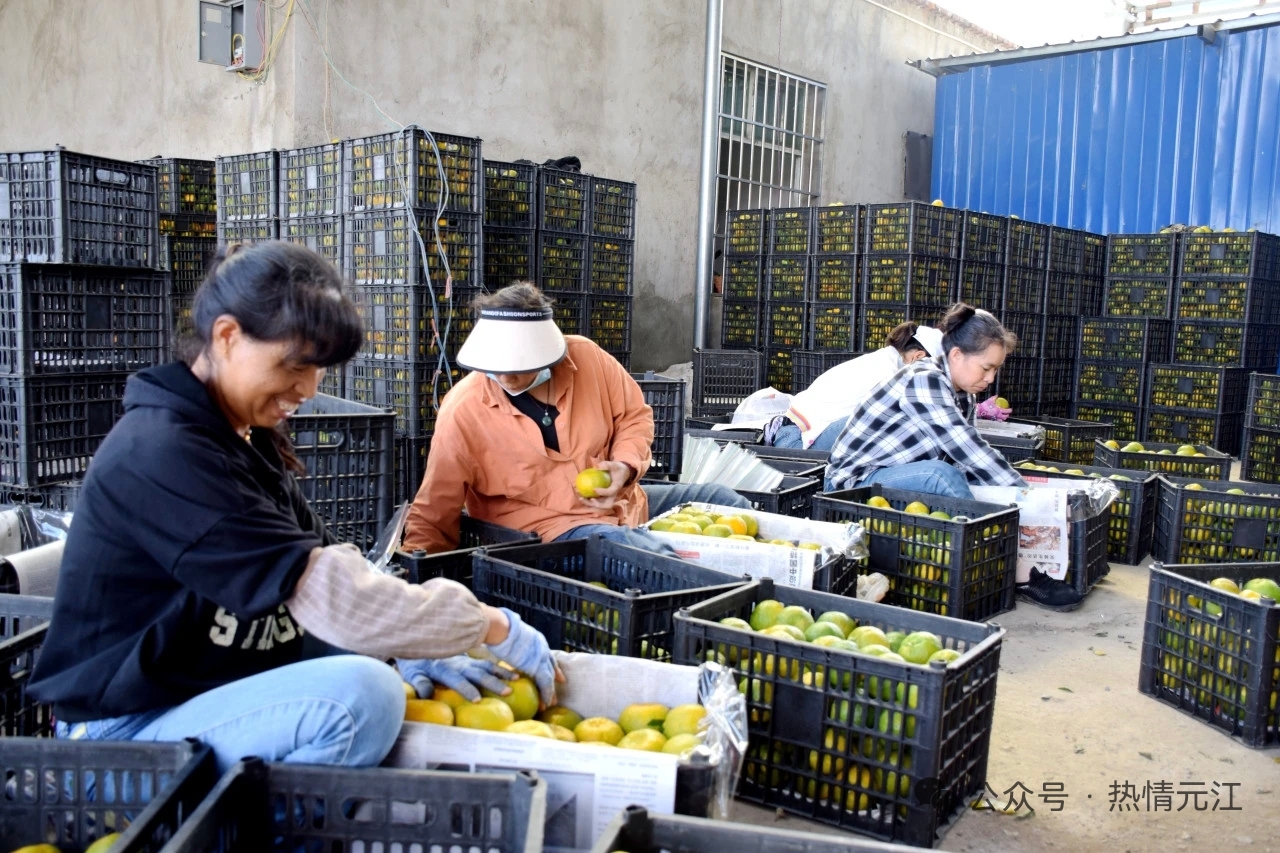 a76ad4ccff5534222272979dfbe82b6.jpg a76ad4ccff5534222272979dfbe82b6.jpg