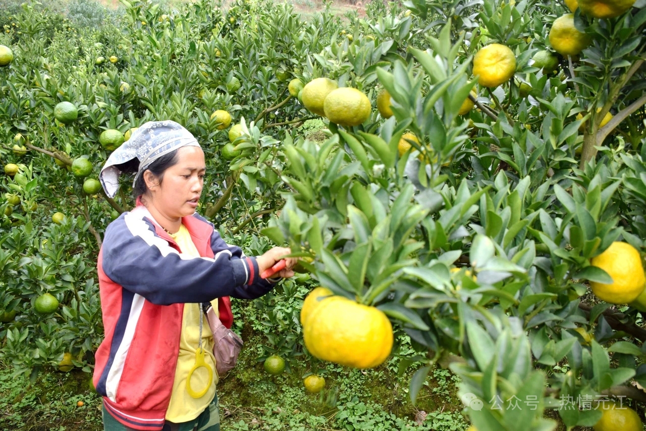 5097a061b8f4e1f90d19a92e4401e41.jpg 5097a061b8f4e1f90d19a92e4401e41.jpg