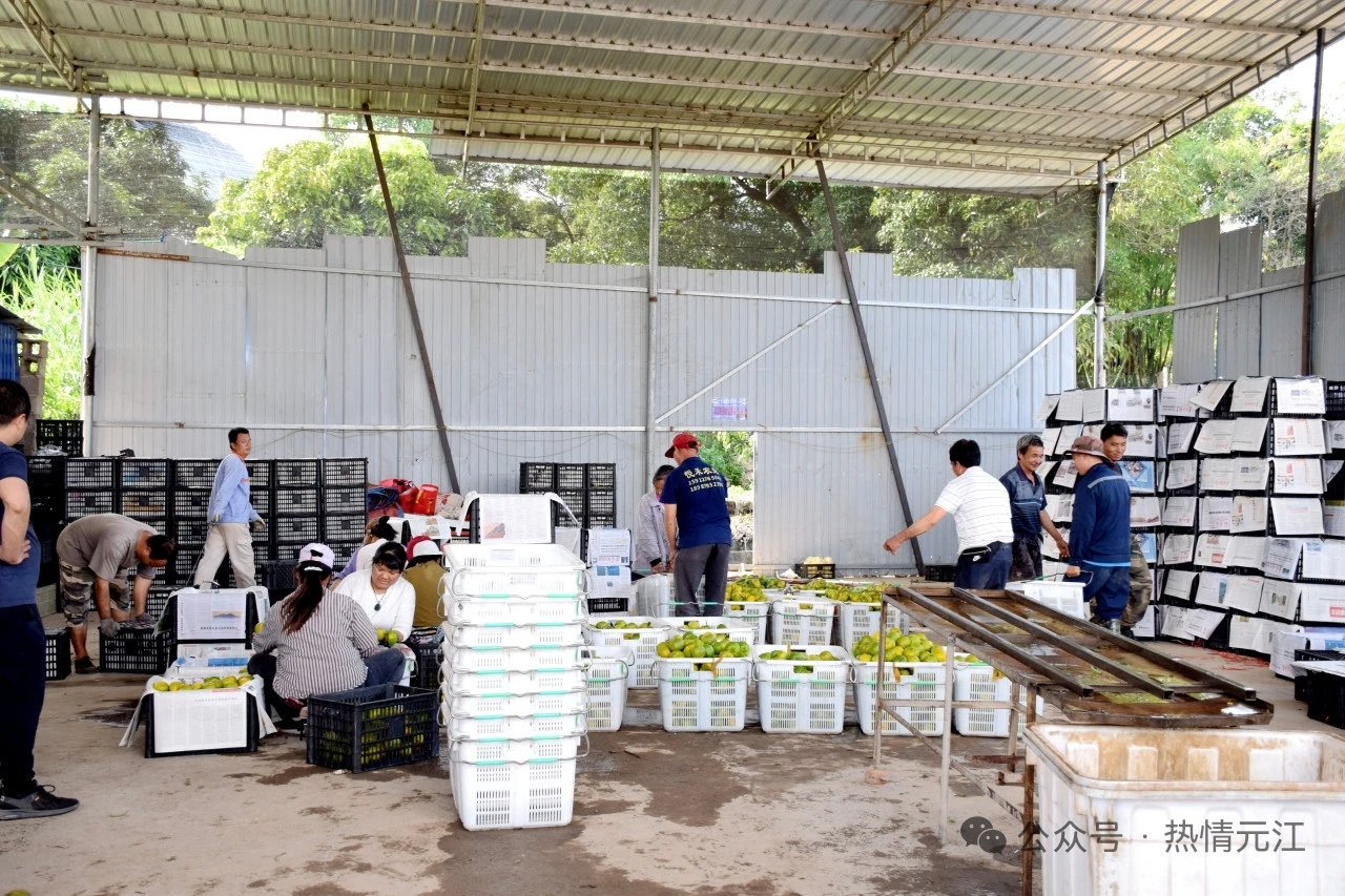 2c323904d3a3a123647bf276524ff66.jpg 2c323904d3a3a123647bf276524ff66.jpg