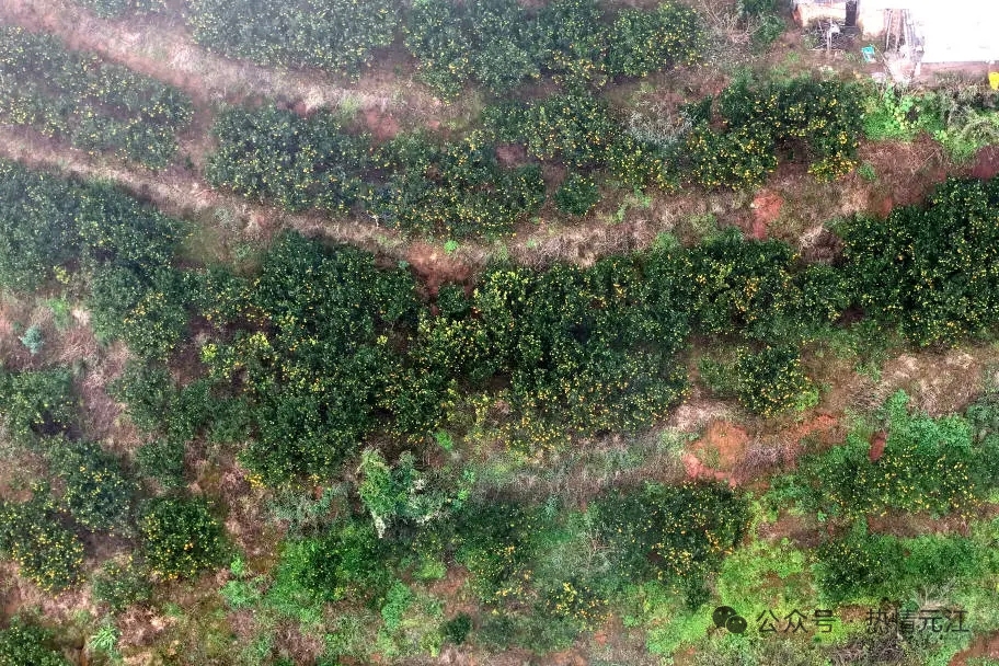 60d62795b5f6eac76857243c8df262b.jpg 60d62795b5f6eac76857243c8df262b.jpg