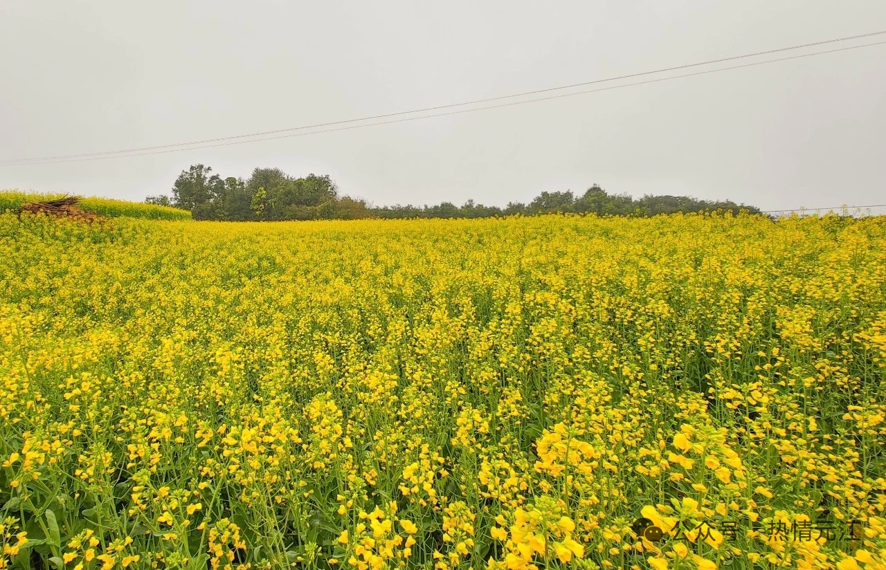 37a084f8a3d844fb64585ca4525b7a8.jpg 37a084f8a3d844fb64585ca4525b7a8.jpg