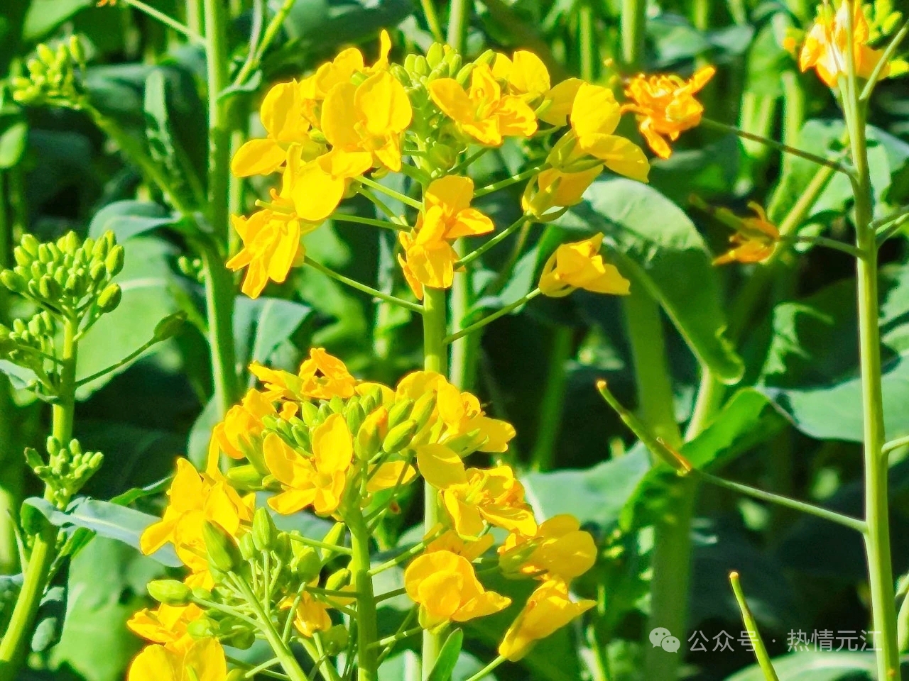 a8198f2d081433956b71f8f6fcba0aa.jpg a8198f2d081433956b71f8f6fcba0aa.jpg