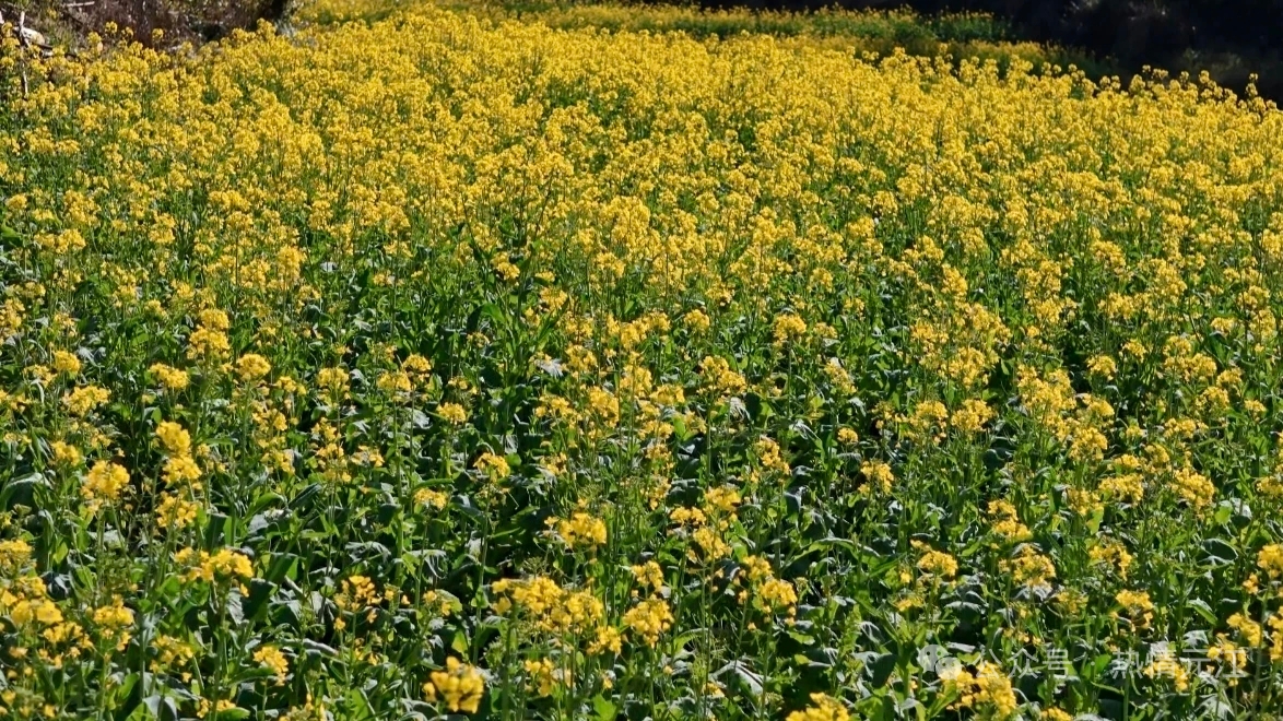 1b422d06daf60672b25787bcdb3a952.jpg 1b422d06daf60672b25787bcdb3a952.jpg