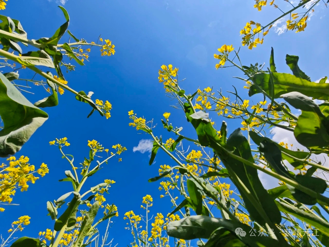 173dc564b06ea84659312a3e8deae94.jpg 173dc564b06ea84659312a3e8deae94.jpg