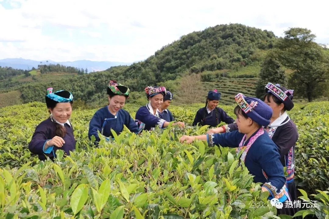 1448501e0bd585611367c77074c1eaf.jpg 1448501e0bd585611367c77074c1eaf.jpg