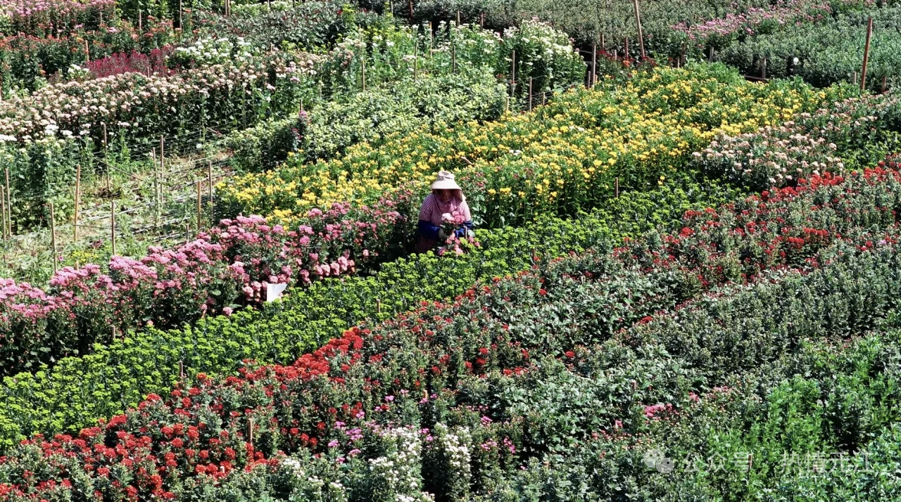 2cce66e055a729ede5c8a6bcb0707d5.jpg 2cce66e055a729ede5c8a6bcb0707d5.jpg