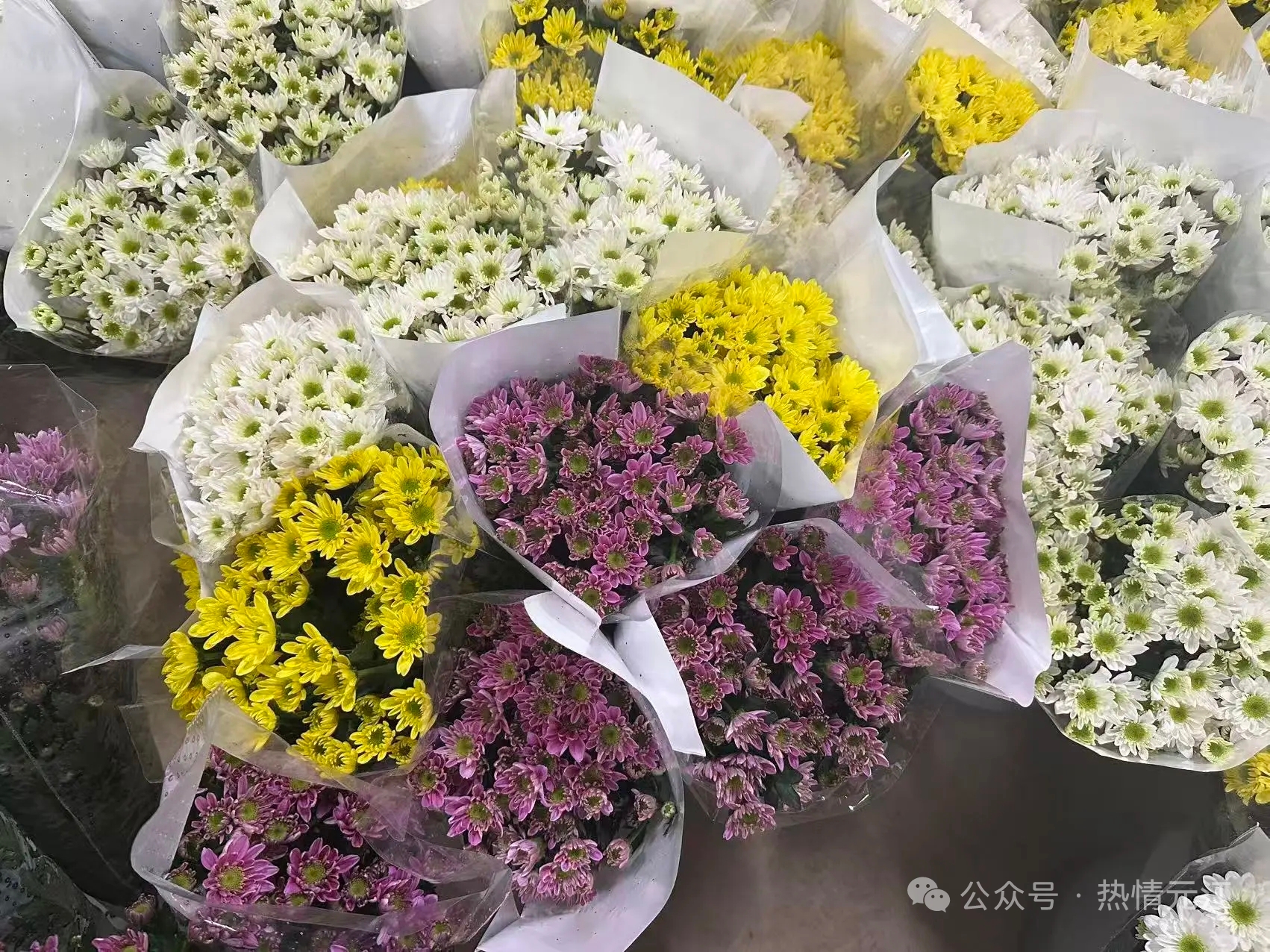 acf099ac6e8bdd14f5ba7c855fb5870.jpg acf099ac6e8bdd14f5ba7c855fb5870.jpg