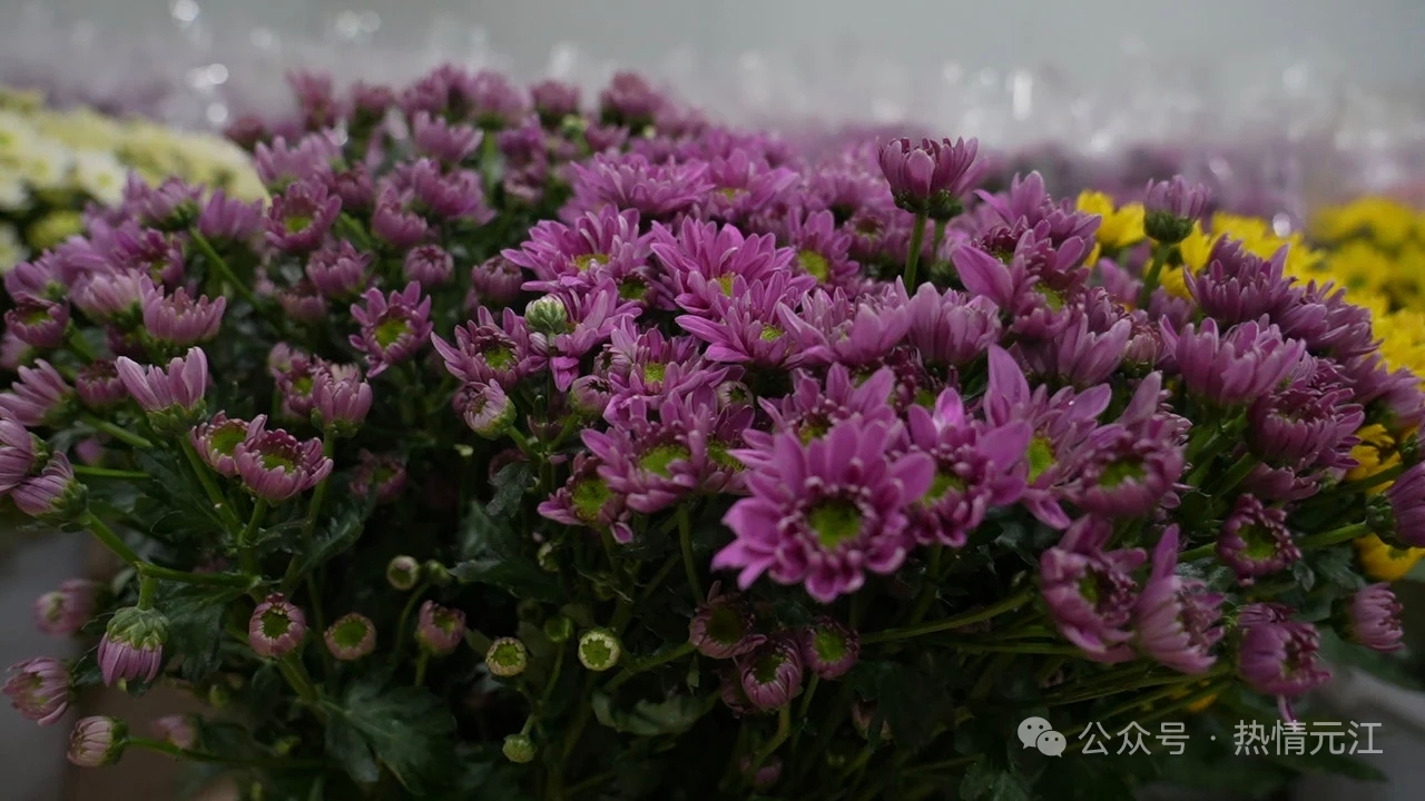 11e2f6f40dee2388da5b163a922ebe5.jpg 11e2f6f40dee2388da5b163a922ebe5.jpg