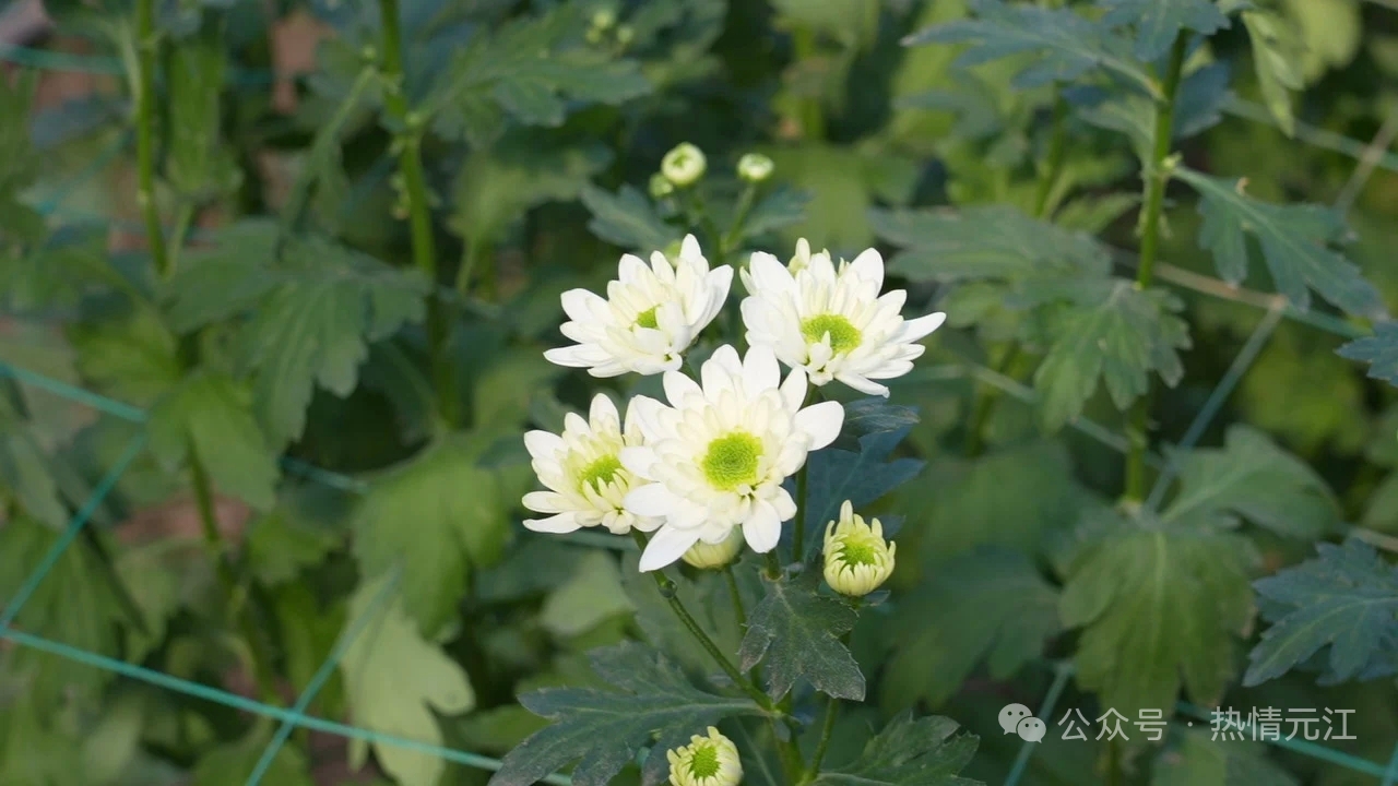 a6cef347aa2cd3b1eb4f681637d771c.jpg a6cef347aa2cd3b1eb4f681637d771c.jpg