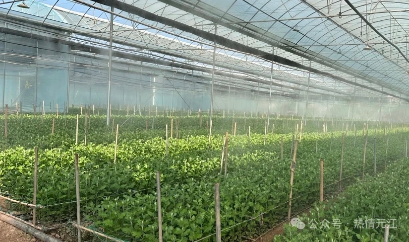 a187339b31498027051db49a9cc5eda.jpg a187339b31498027051db49a9cc5eda.jpg