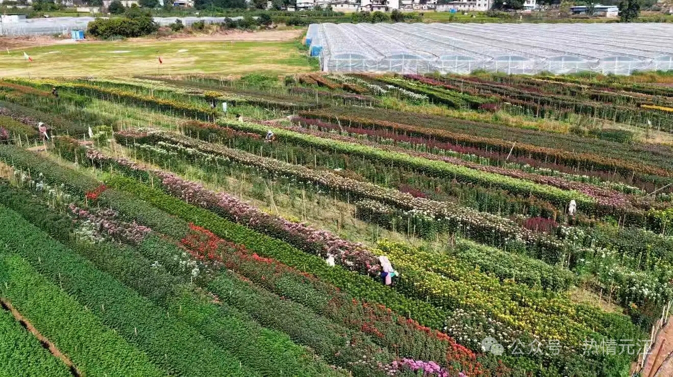 85498b1476e934f80615905498bfeb6.jpg 85498b1476e934f80615905498bfeb6.jpg