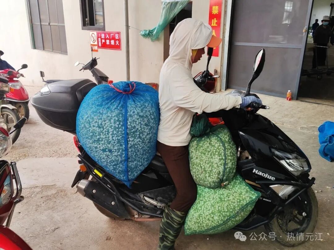 走进家门4.jpeg 走进家门4.jpeg