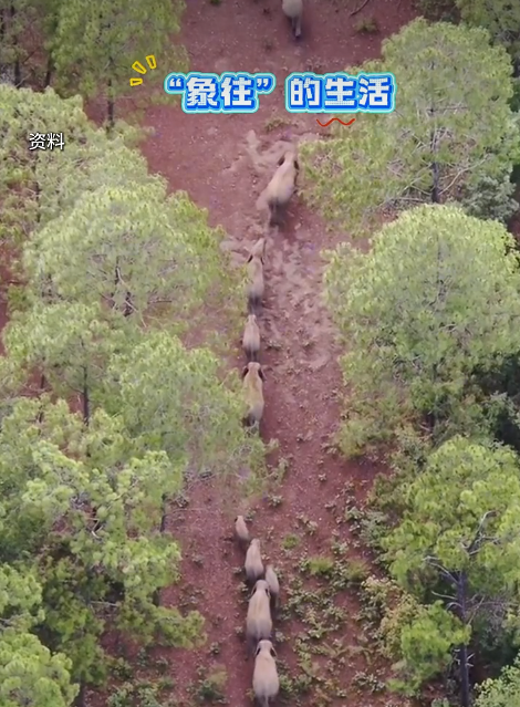 青山绿水1.png 青山绿水1.png