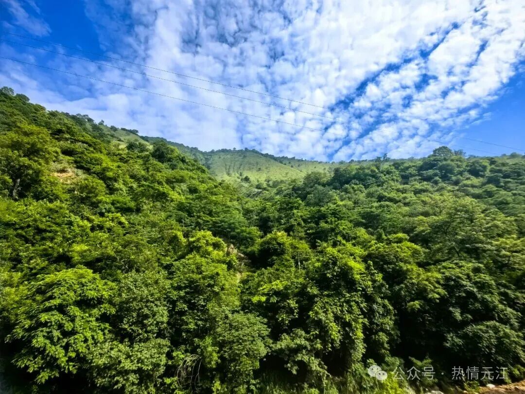 青山绿水2.jpeg 青山绿水2.jpeg