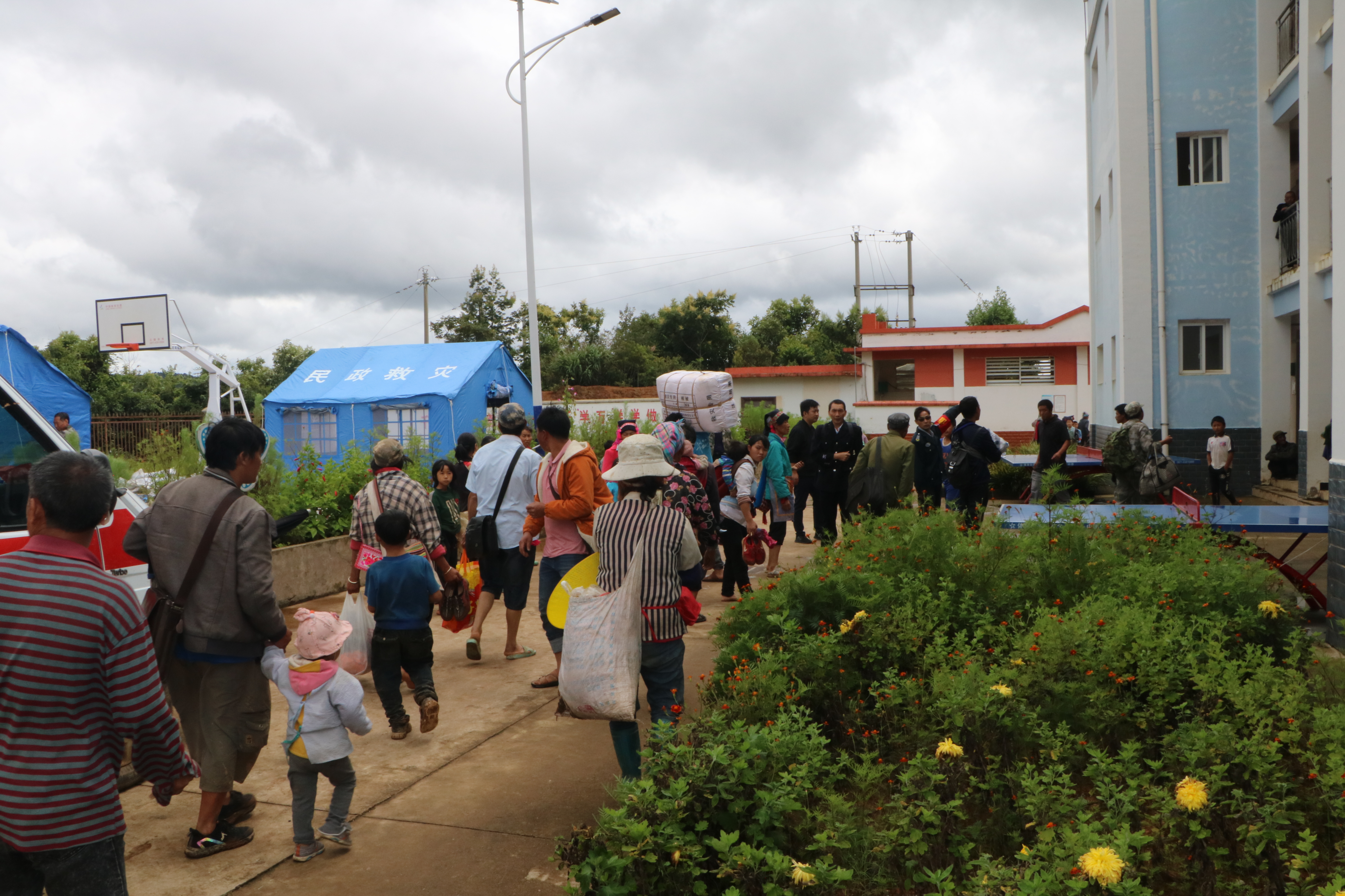 IMG_7309.JPG IMG_7309.JPG