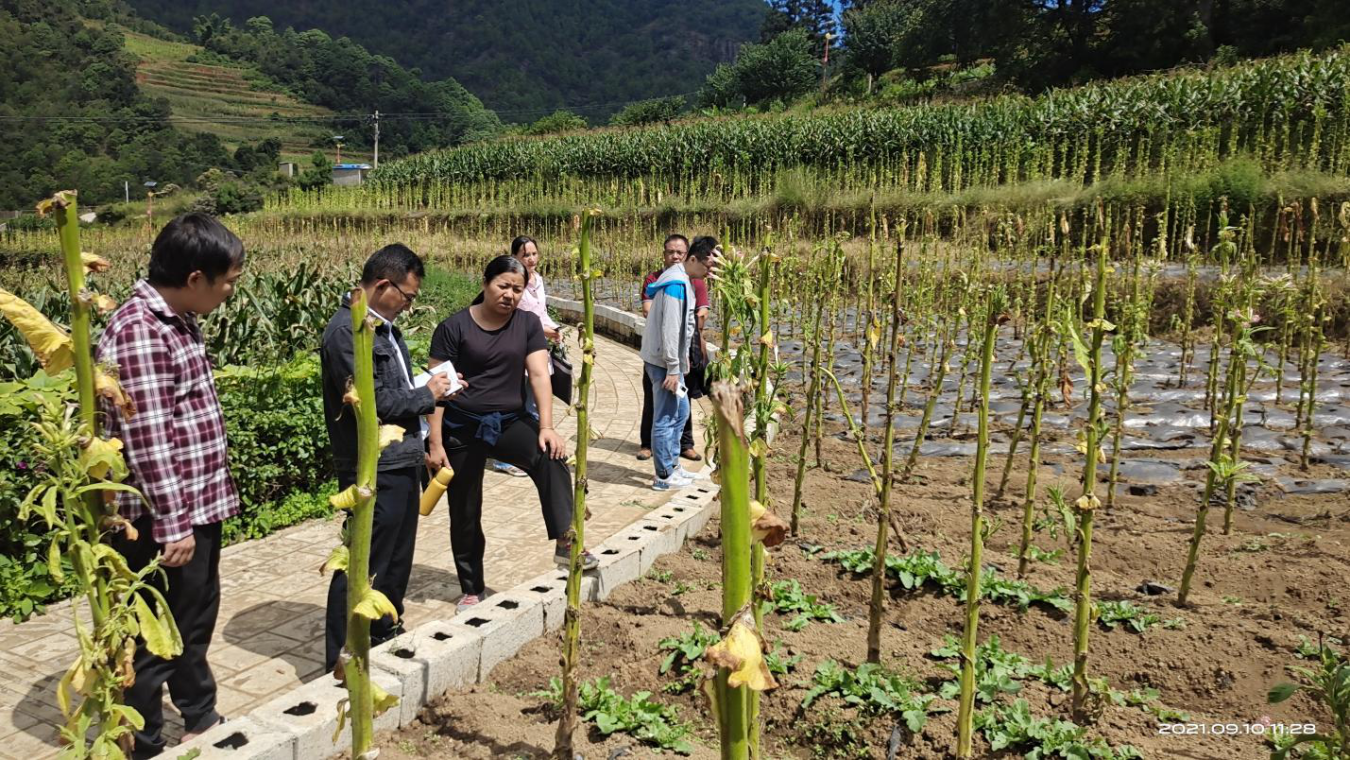 图片2.png 图片2.png