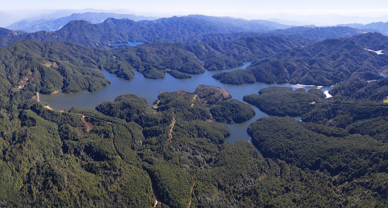 来源元江县林业和草原局索引号发布时间20220511155902