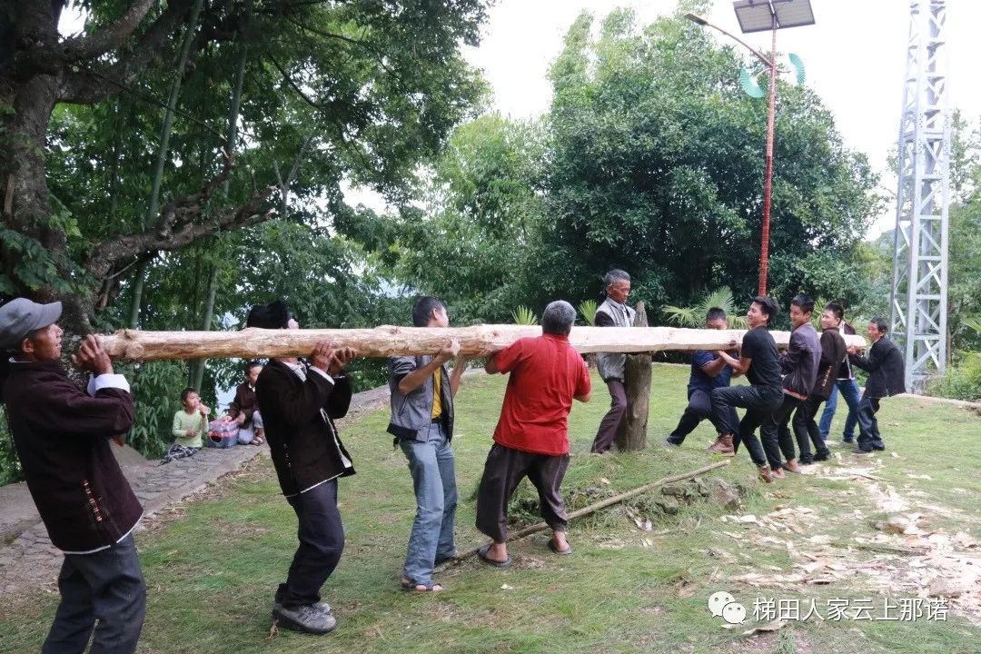 3.jpg 3.jpg