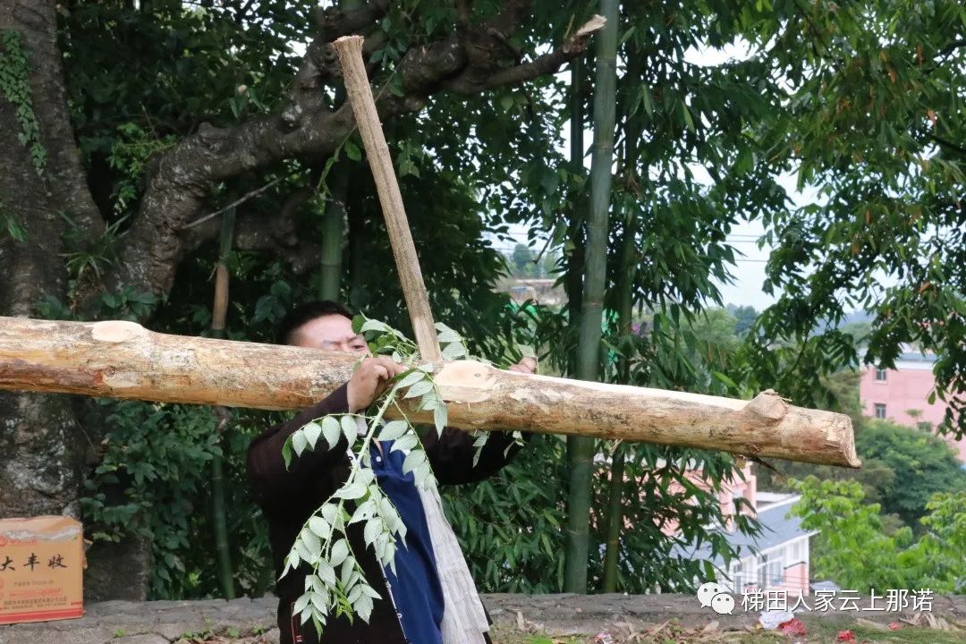10.jpg 10.jpg
