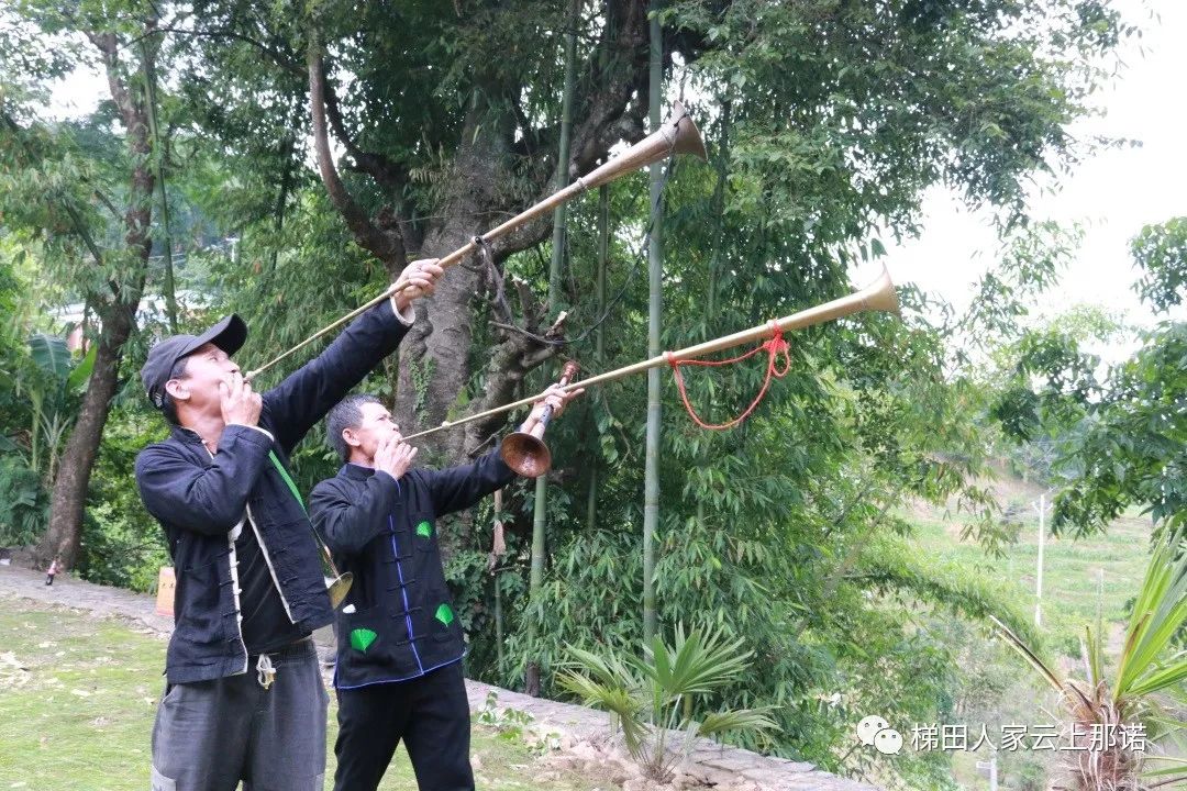 20.jpg 20.jpg