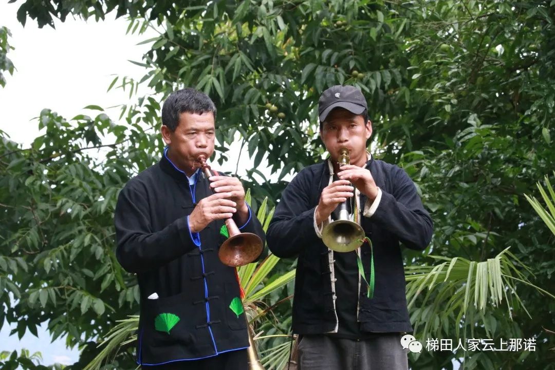 22.jpg 22.jpg