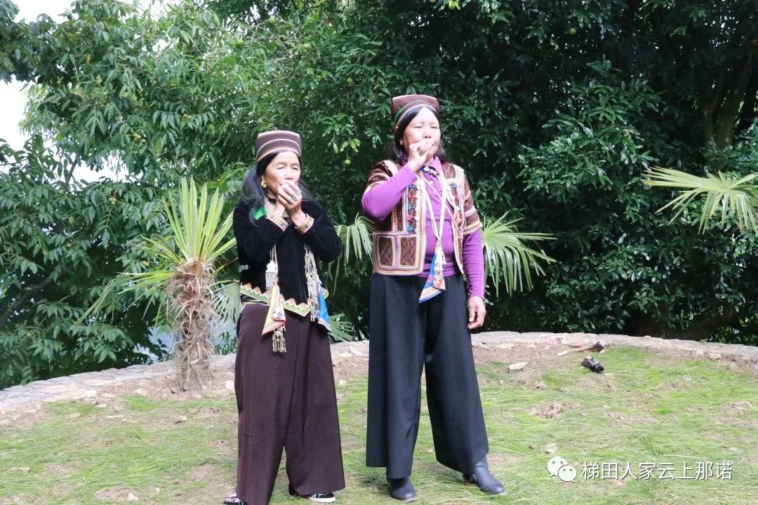 24.jpg 24.jpg