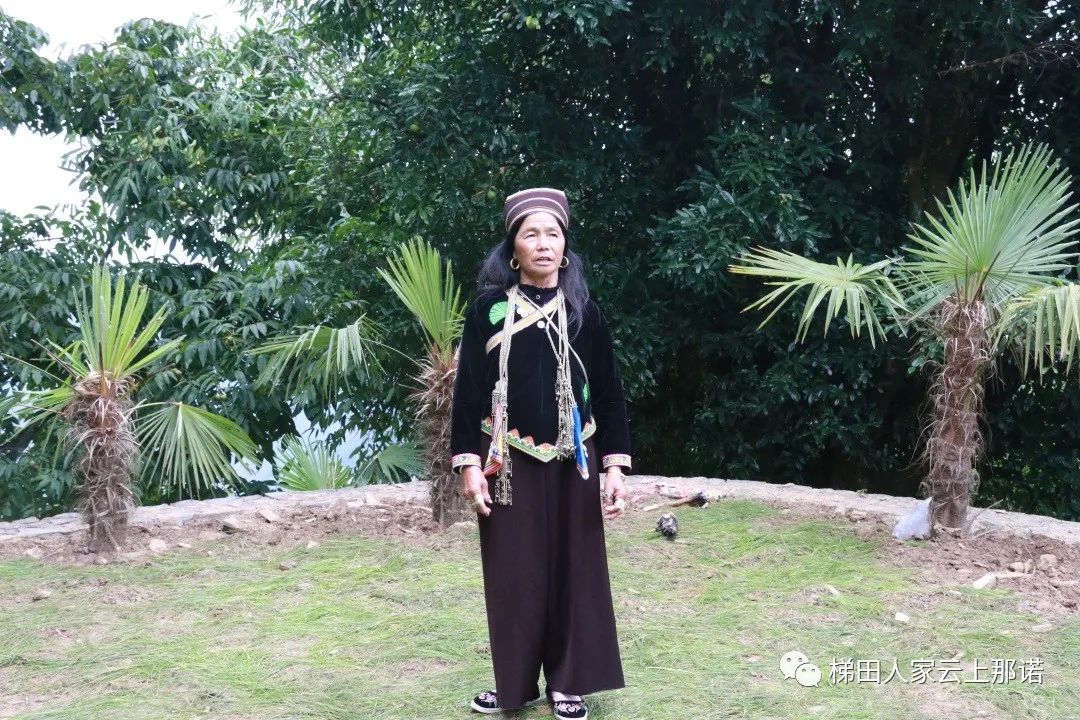 25.jpg 25.jpg
