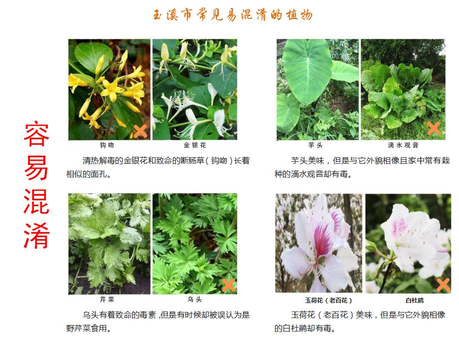 图片3.jpg 图片3.jpg