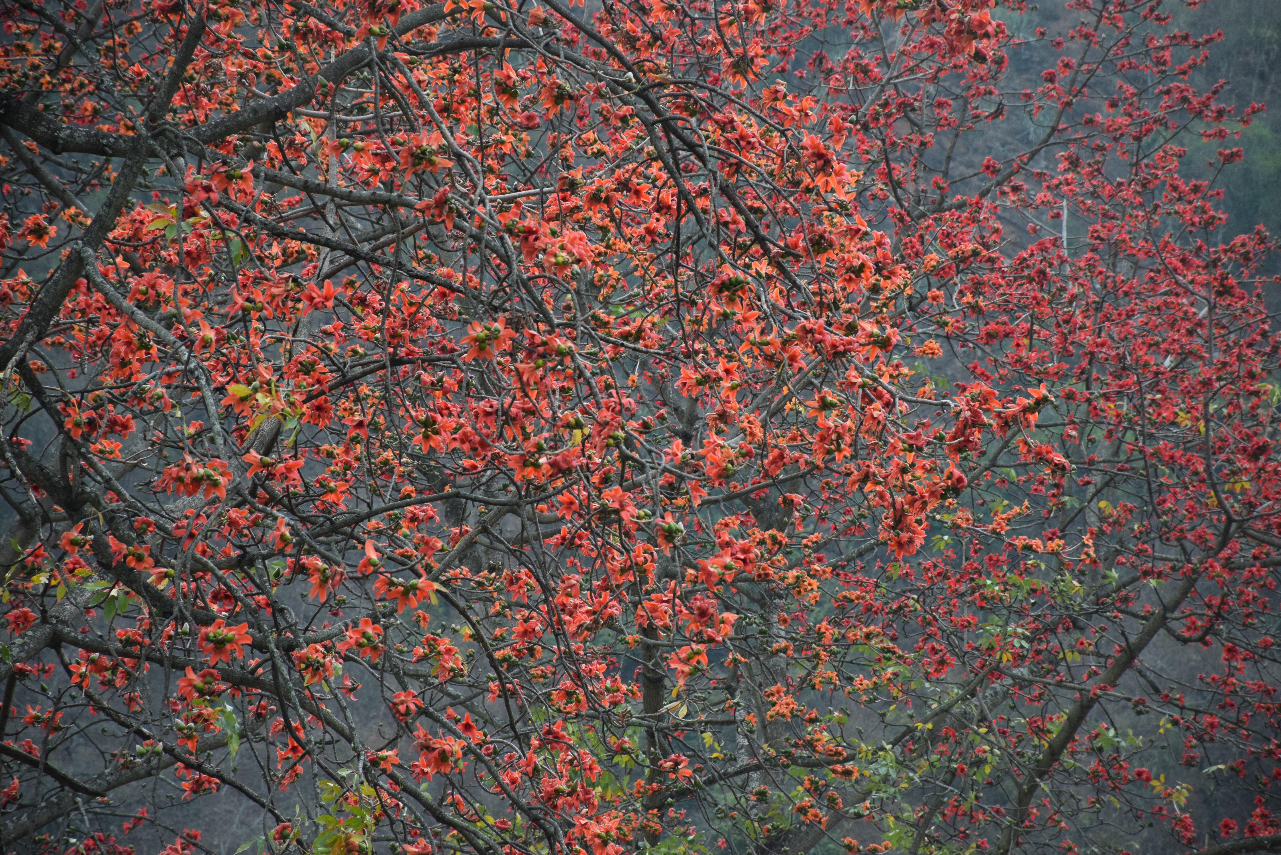 DSC_0865.JPG